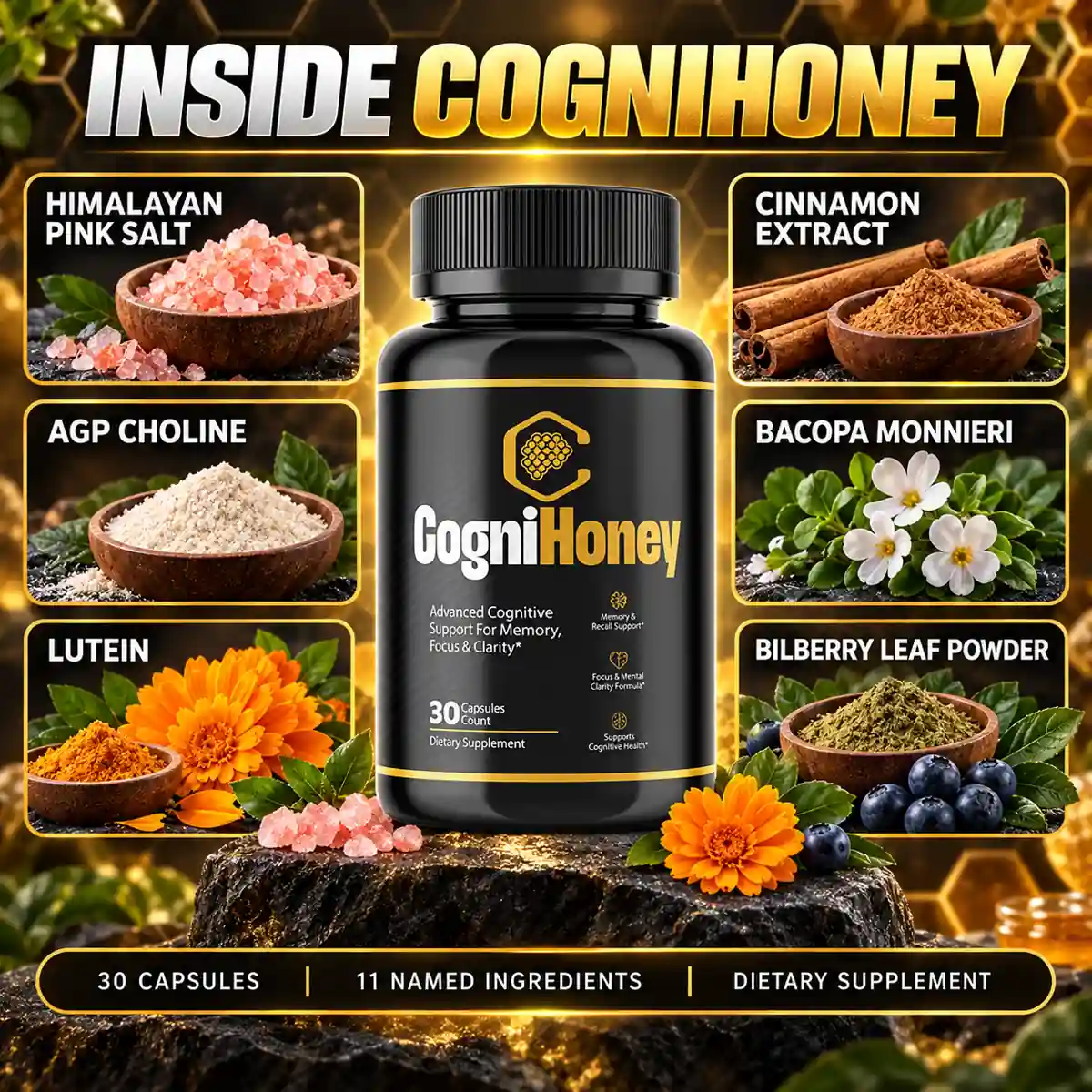 CogniHoney Inside artwork with bacopa monnieri pictured among six ingredients